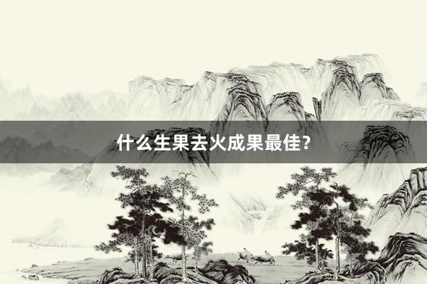 什么生果去火成果最佳？